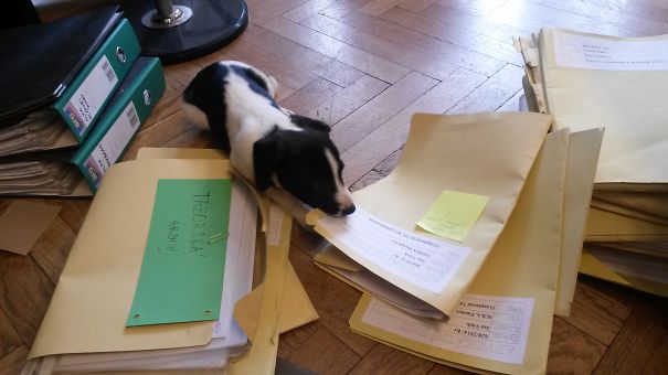 She Always Wanted To Become A Lawyer