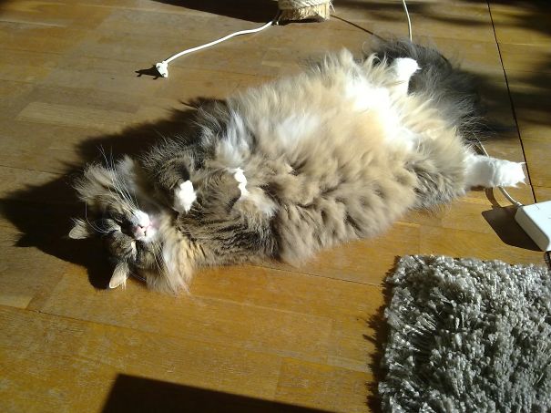 One Of His Famous Poses