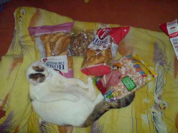 Maybe I Ate Too Much... Ok You're Right.... But I'm Soo Happy Tonight!