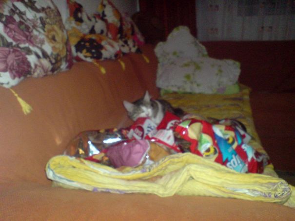 Lizuca's No So Secret Emergency Chips Stocks!