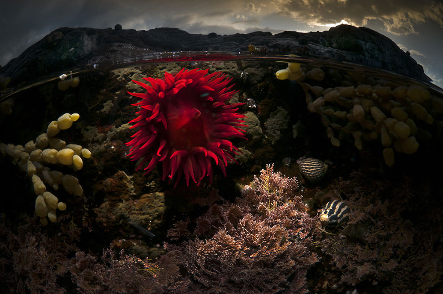 A Parallel Universe: My Half-Underwater Pics Show What Hides Beneath The Waves