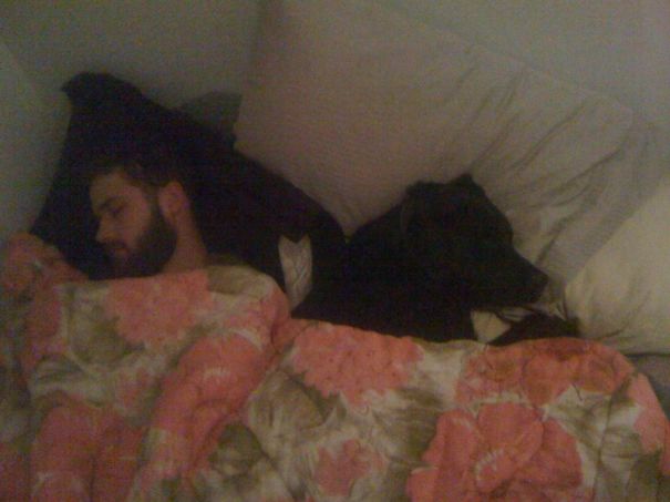 Compromise Is Possible