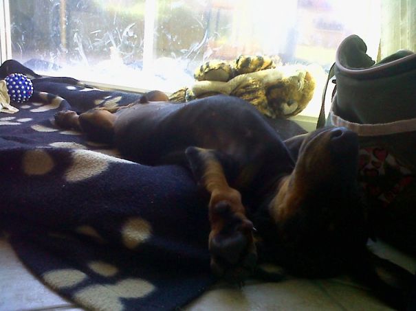 Danger! Frisco At Work. :)