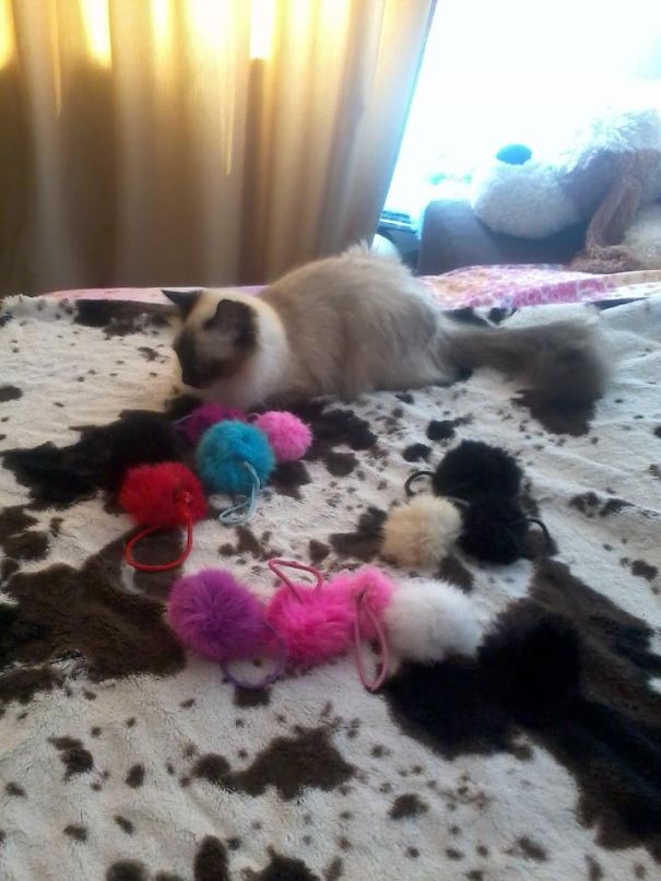 I Guess She Need Them More Than I Do :))