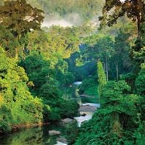 jmorganfuller avatar