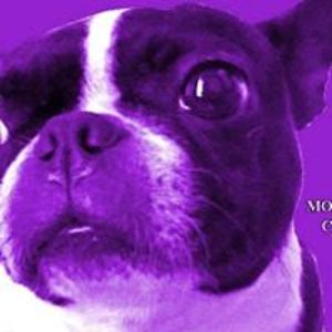 pepsimel01970 avatar