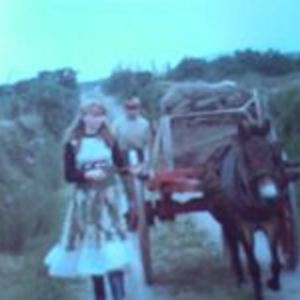 marzanddale1997 avatar