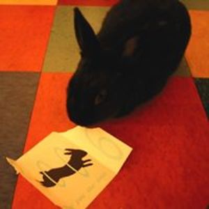 studiosherwood avatar