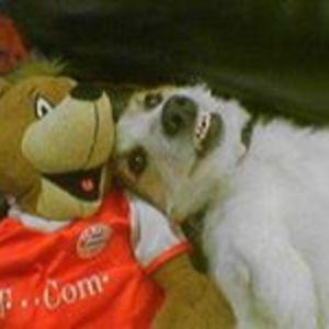 kalyana_mitra avatar