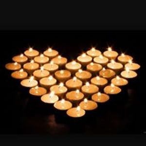 savagechildren avatar