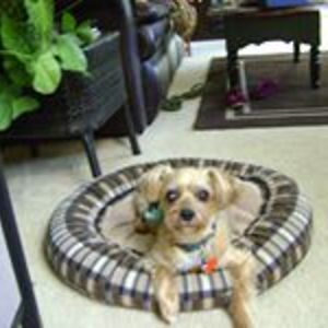 smith_diane805 avatar