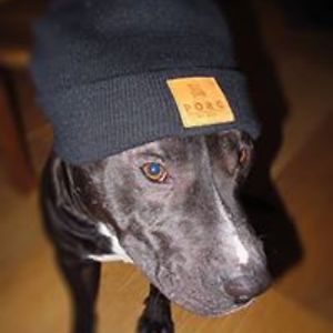 vinogradof_florentin