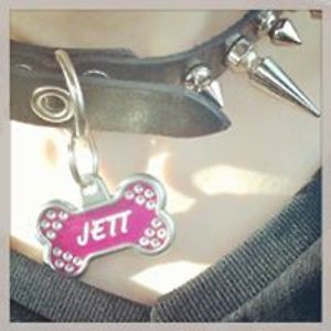 raggedyanarchist avatar