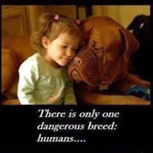 lilaclover2003 avatar