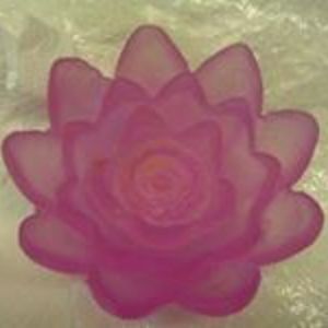 waiuklakeside avatar