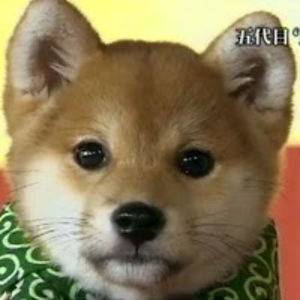 baschderlindblum avatar