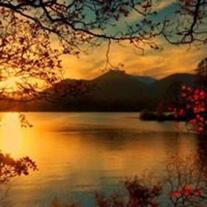 athenamarie1976 avatar