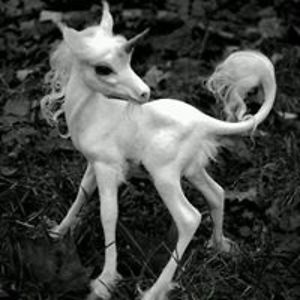 ryu_p_dora_susan avatar