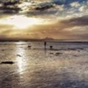 jadedanistone avatar