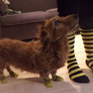 lemoeller1022 avatar