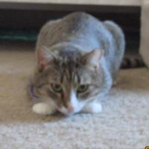 michaelsroom2 avatar