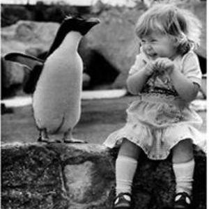 karencarlson10791 avatar