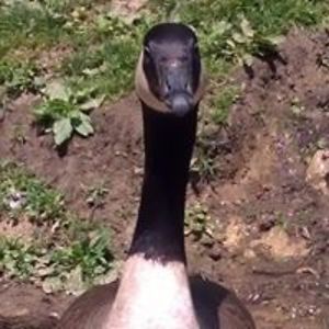 jeanne_winsky avatar