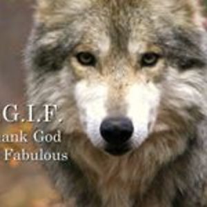 binskreuzer2004 avatar