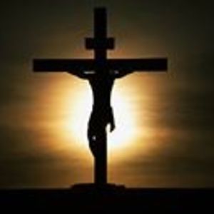 emilylizemail avatar