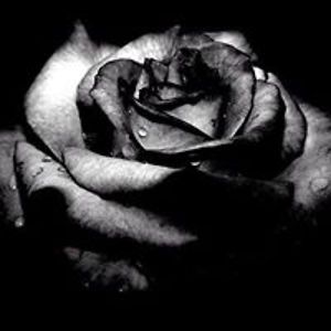 grassnguyen100392 avatar