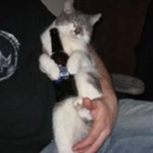 Nicholas_Morino avatar