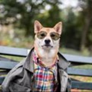 rishabh_bhardwaj1988 avatar