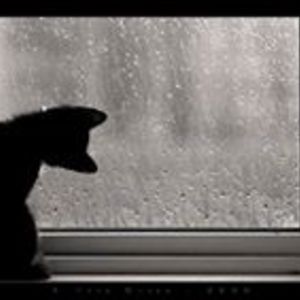 tranvuvietoanh avatar