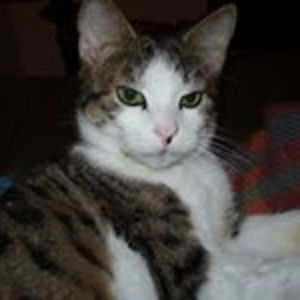 gabriella_husz avatar