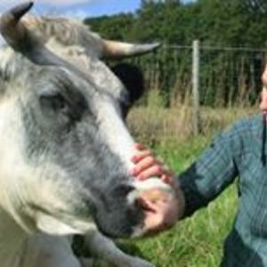 hoeve_esther avatar