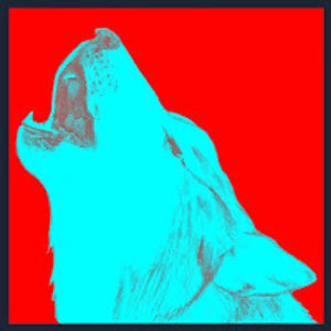 renskestokkermans avatar