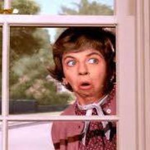 tangledupinbloo avatar