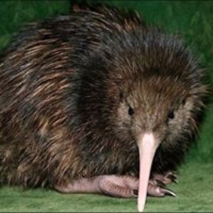 literarycellofreak avatar