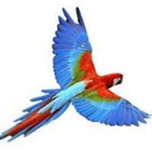 weldmaster2010 avatar