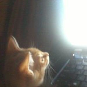 leslievidrine avatar