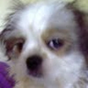 nancyannzaborskihill avatar