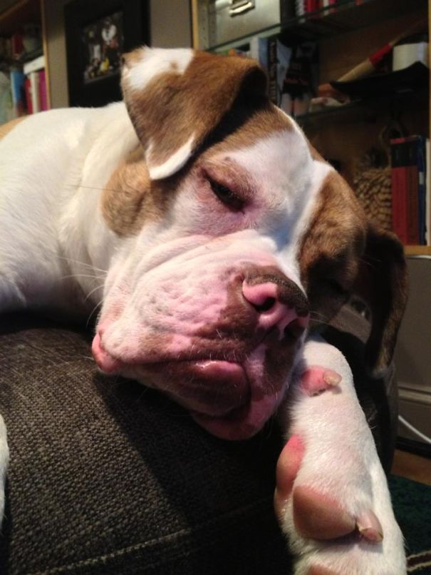 I Worked So Hard Today....zzzzzzzz