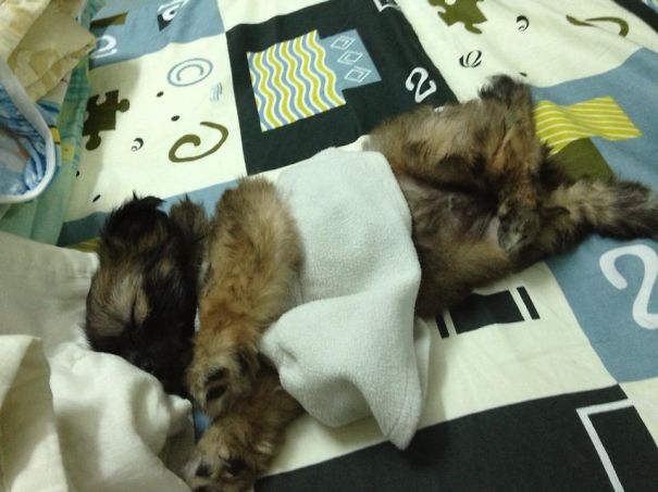 My Cute Baby Sleep In Bed