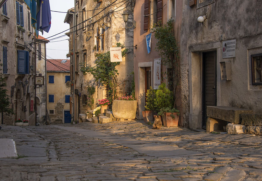 A Trip To Grožnjan, An Enchanting Medieval Istrian Town