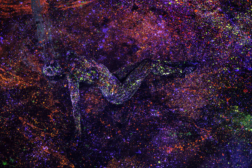 Lost In Infinity Split