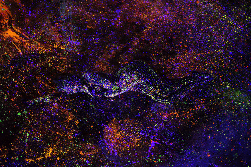 Lost In Infinity Split Lost In Infinity Split