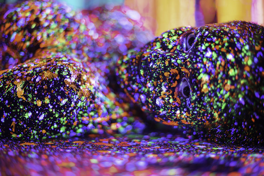 Lost In Infinity Split