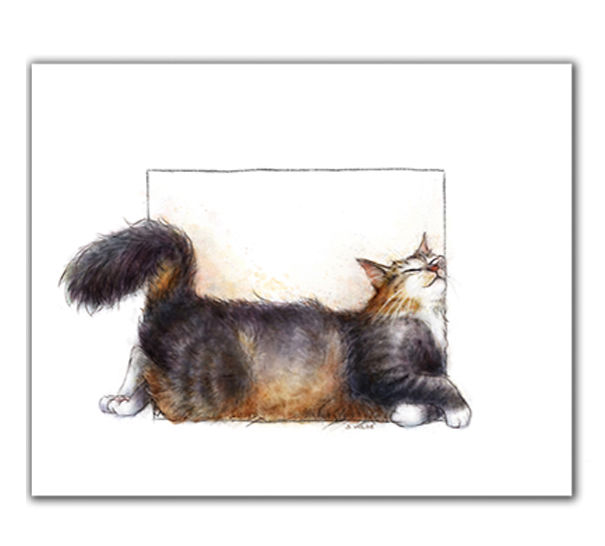 As My Break From My Real Life, Sometimes I Love To Stuff Cats In Boxes.