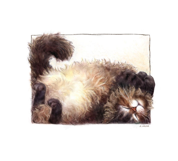 As My Break From My Real Life, Sometimes I Love To Stuff Cats In Boxes.