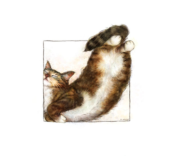 As My Break From My Real Life, Sometimes I Love To Stuff Cats In Boxes.